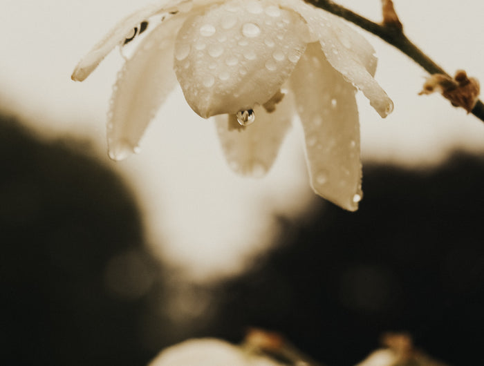 <h2>Descubre nuestras soluciones para ti</h2>